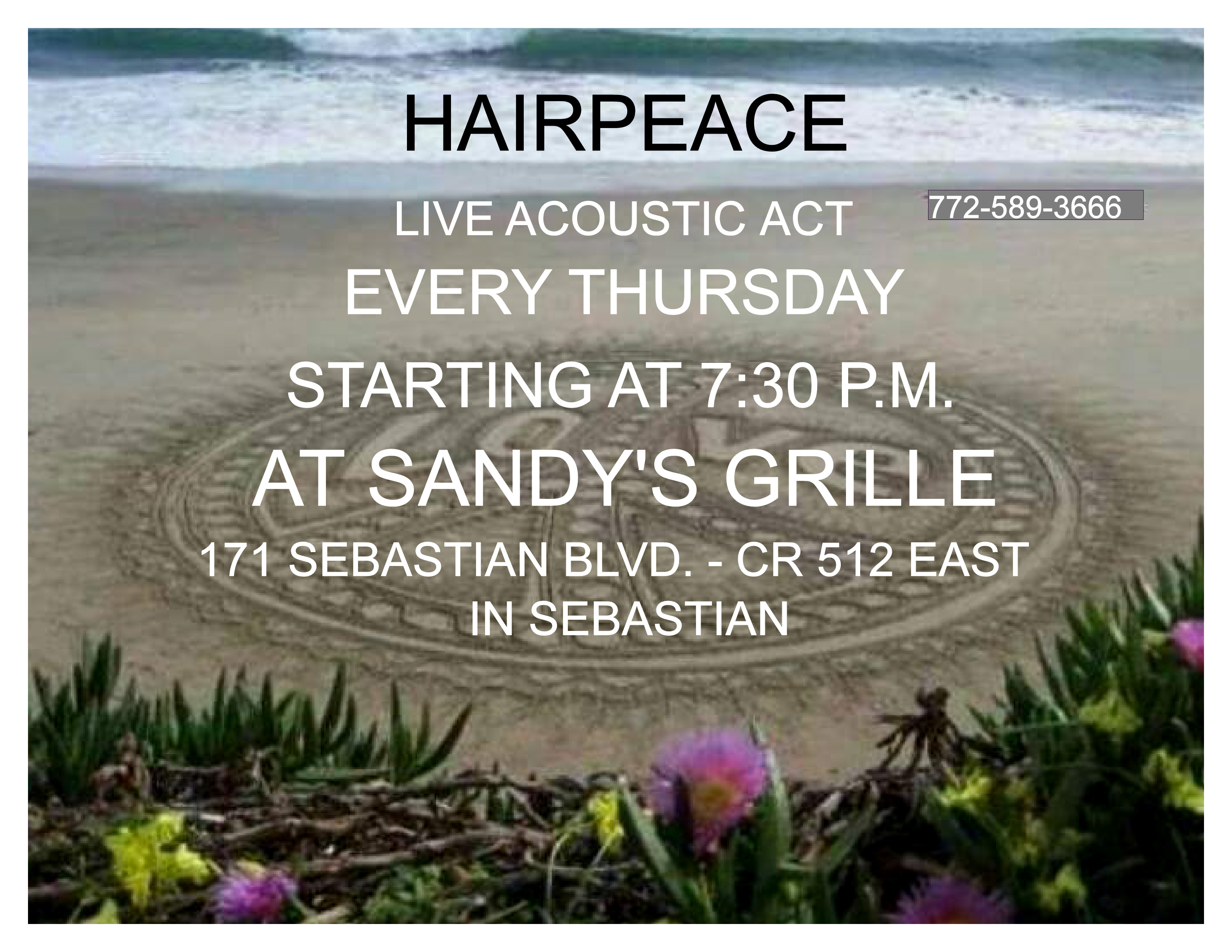 Live Acoustic Music by Hairpeace